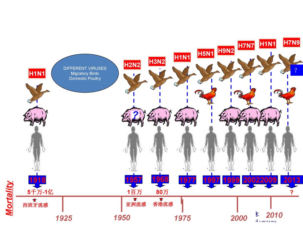 h1n1h7n9h7n7h9n2h5n1different virusesmigratory birdsdomestic