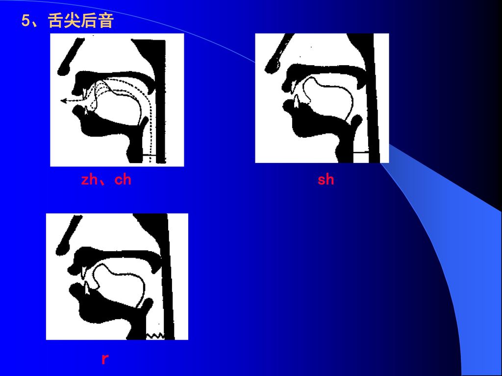 f3,舌尖前音z,c s 4,舌尖中音d,t nl 5,舌尖后音zh,ch shr 6,舌面音j