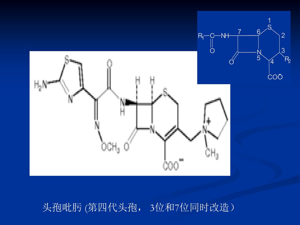 16                阿莫西林(羟氨苄青霉素