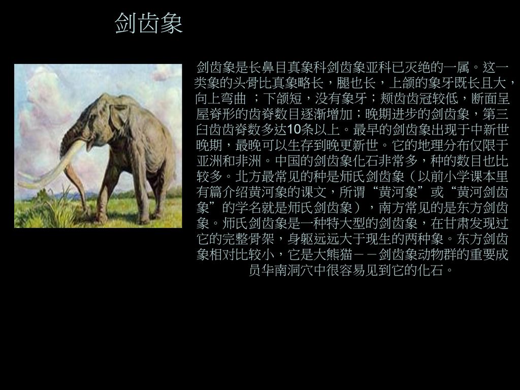 大象介绍 制作人:小康 ,小喻 资讯来源http://baike.baidu.