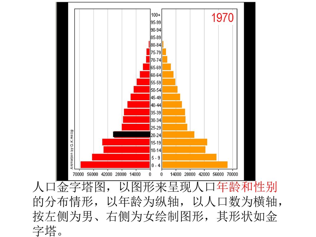 人口金字塔图,以图形来呈现人口年龄和性别