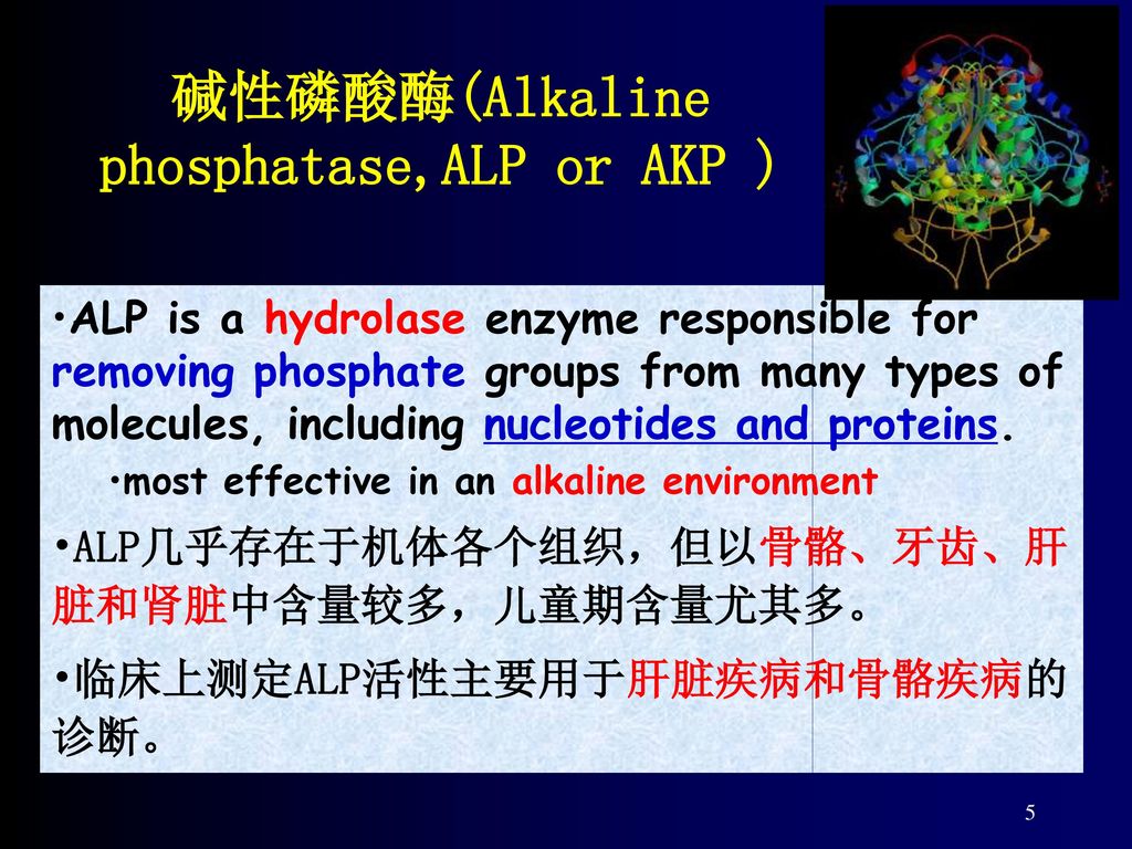 碱性磷酸酶(alkaline phosphatase,alp or akp ) alp is a hydrolase