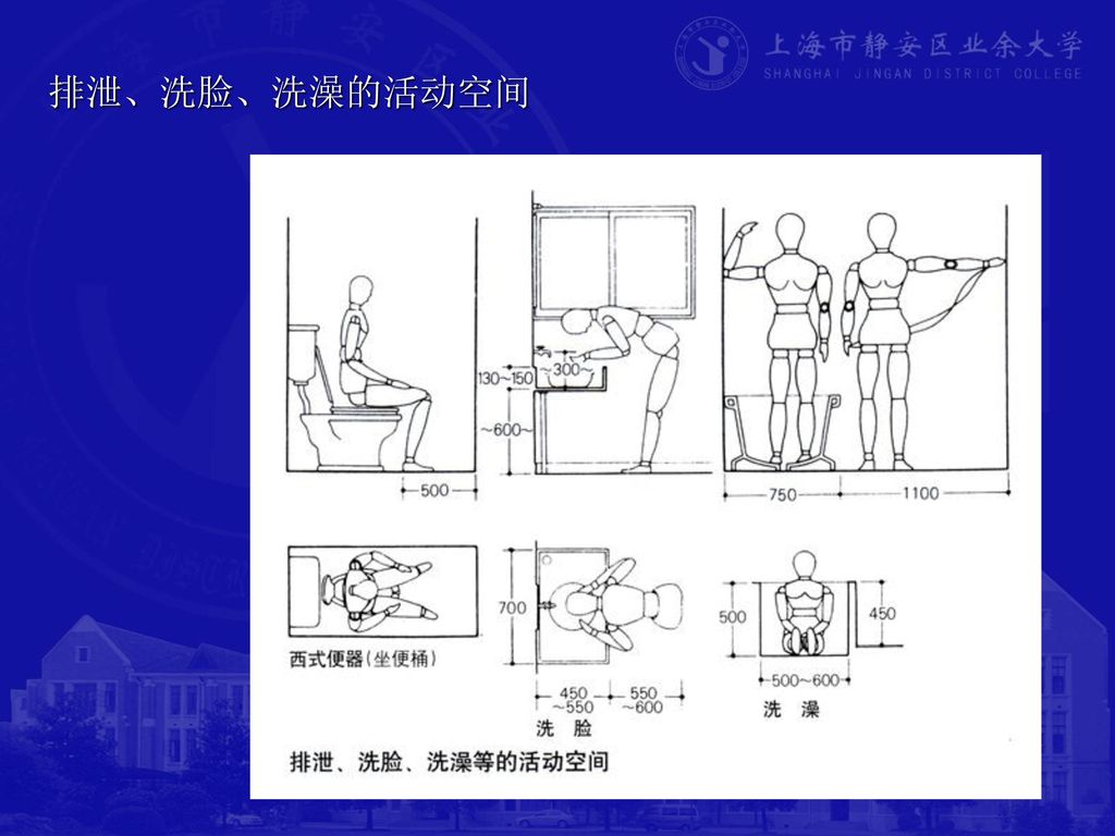 使用功能(人体工程学)人体尺度及人体活动所需要的空间尺度家具,设备