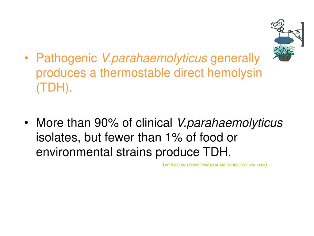 studies on vibrio parahaemolyticus by pcr during the four