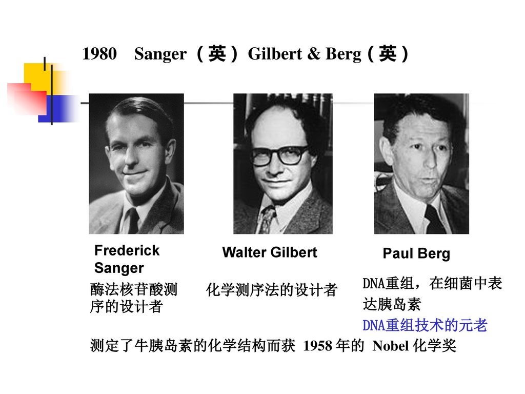 1980 sanger (英) gilbert & berg(英) frederick sangerwalter