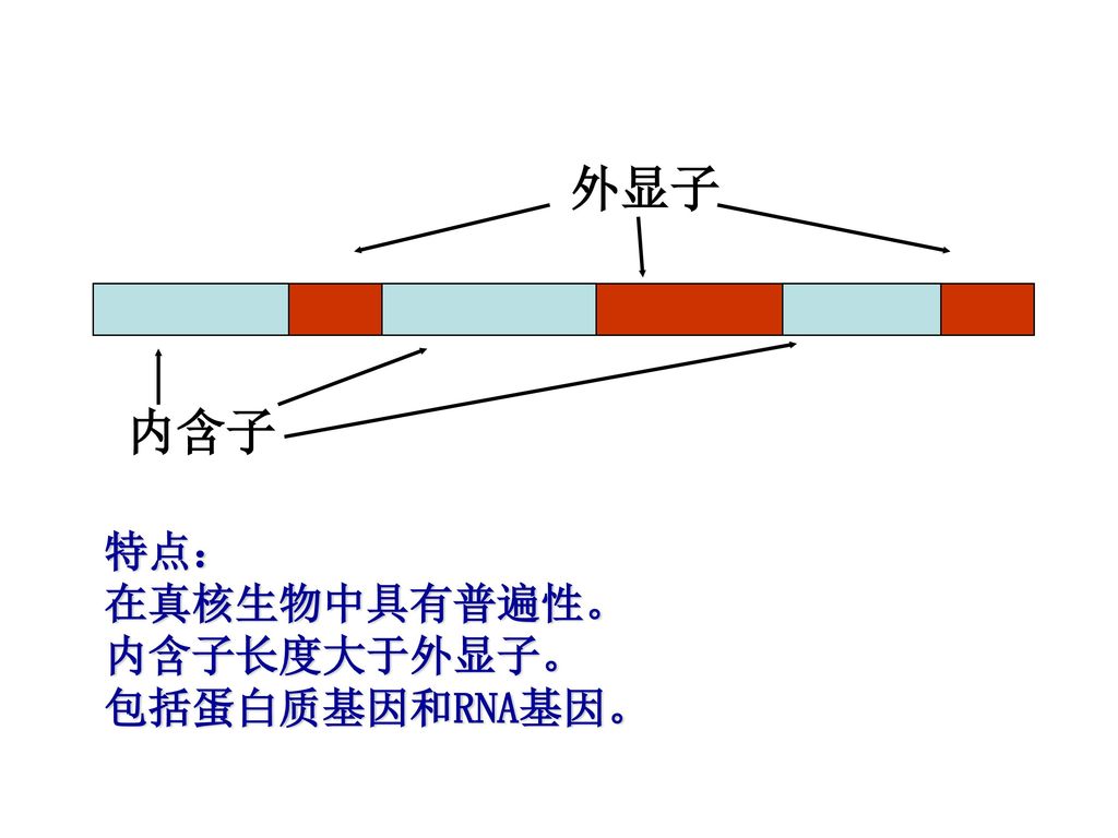 regulation of gene expression