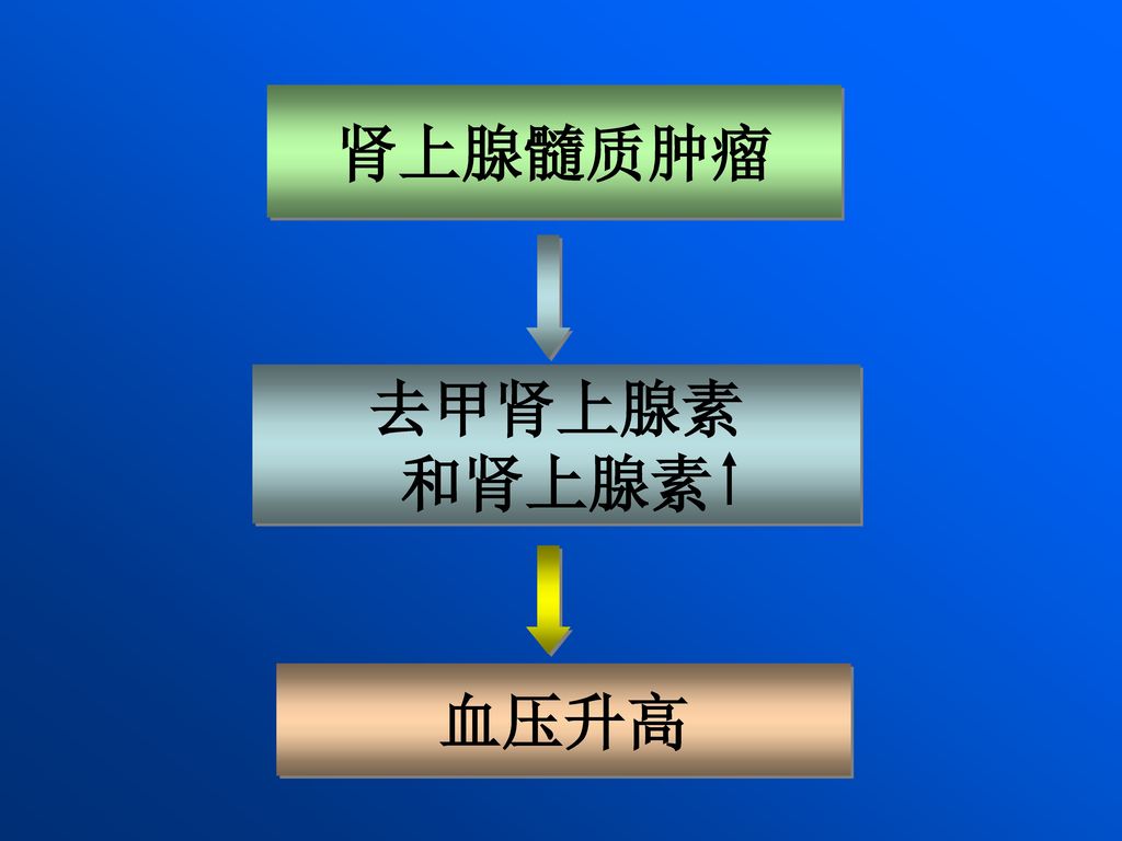 嗜铬细胞瘤(pheochromocytoma) 肾上腺髓质肿瘤去甲肾上腺素和肾上腺