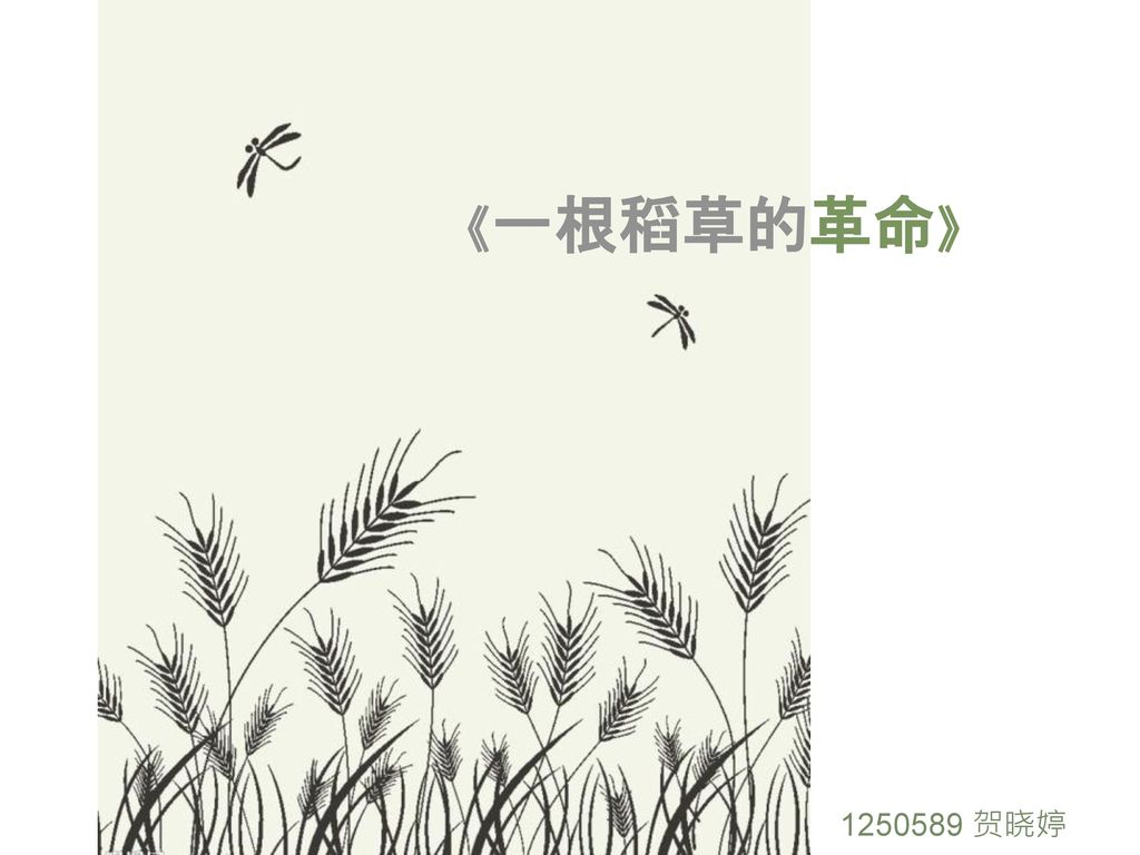 《一根稻草的革命》 1250589 贺晓婷.