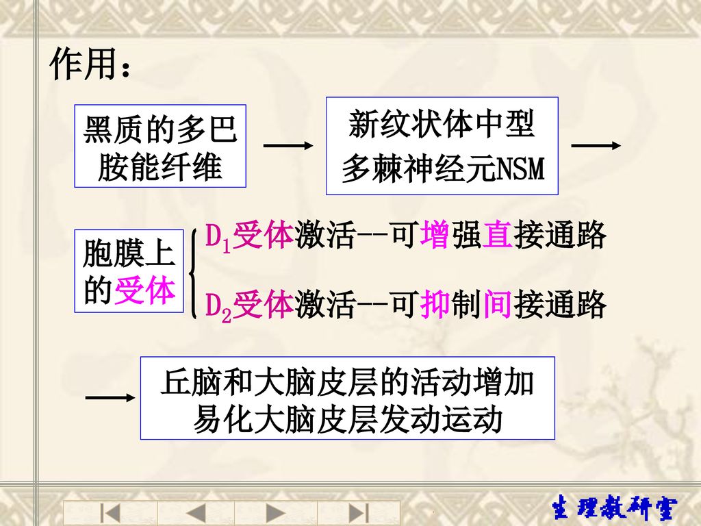 基底神经节与大脑皮层之间的神经回路⑴直接通路:新纹状体→苍白球