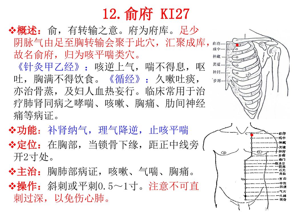 足少 阴脉气由足至胸转输会聚于此穴,汇聚成库, 故名俞府,归为咳平喘