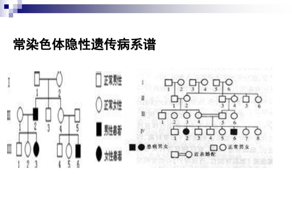 常染色体隐性遗传病 生化遗传教研室 张君 2013.7.15.