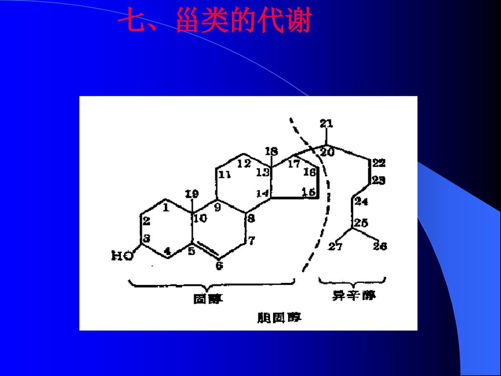 六,糖脂的代谢糖脂的降解糖脂上的糖基成分可以在一些糖苷酶(如β-半