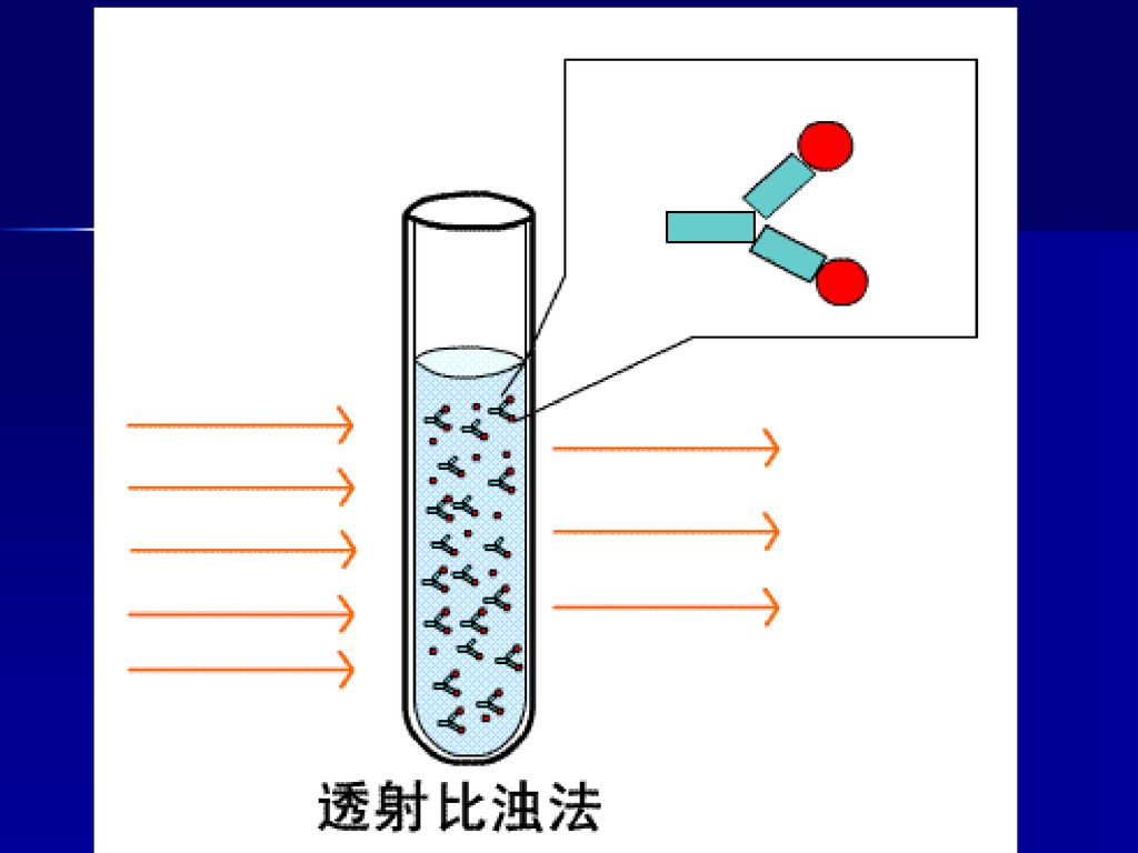 3                2,免疫比浊法:原理:当抗原与