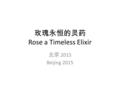 玫瑰永恒的灵药 Rose a Timeless Elixir 北京 2015 Beijing 2015.
