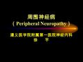 周围神经病 （ Peripheral Neuropathy ） 遵义医学院附属第一医院神经内科 徐 平.