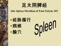足太阴脾经 (the Spleen Meridian of Foot-Taiyin, SP)  经脉循行  病候  腧穴.