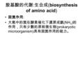 胺基酸的代謝 : 生合成 (biosynthesis of amino acid) 固氮作用 : 大氣中的氮在酵素催化下還原成氨 (NH 3 ) 的 作用，只有少數的原核微生物 (prokaryotic microorganism) 具有固氮作用的能力。
