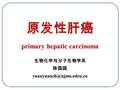 原发性肝癌 primary hepatic carcinoma