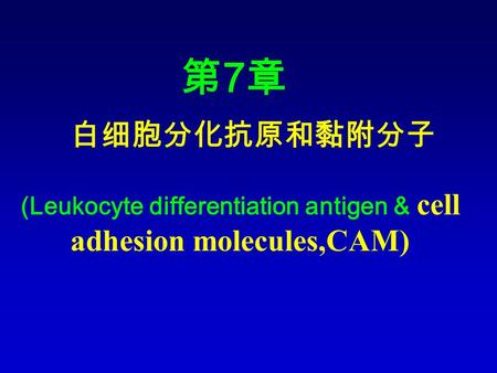 白细胞分化抗原和黏附分子 第7章第7章 (Leukocyte differentiation antigen & cell adhesion molecules,CAM)