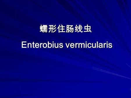 蠕形住肠虫 us vermicularis 蠕形住肠线虫 Enterobius vermicularis.