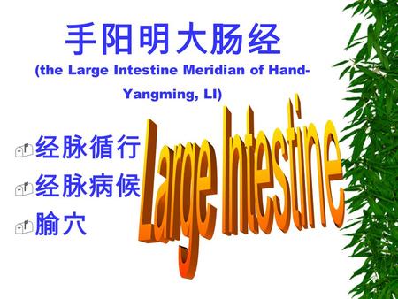 手阳明大肠经 (the Large Intestine Meridian of Hand- Yangming, LI)  经脉循行  经脉病候  腧穴.