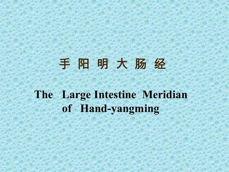 手 阳 明 大 肠 经 The Large Intestine Meridian of Hand-yangming.