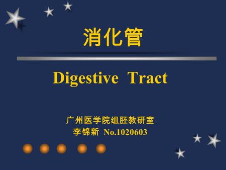 消化管 Digestive Tract 广州医学院组胚教研室 李锦新 No.1020603 组成： 功能： 1 、消化、吸收 2 、内分泌 3 、免疫 消化管.