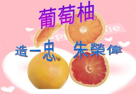 1 植物名稱植物名稱 葡萄柚 2 英名英名 Grape fruit,Pomelo 3 學名學名 Citrus × paradisi 4 科名科名 芸香科 Rutaceae.