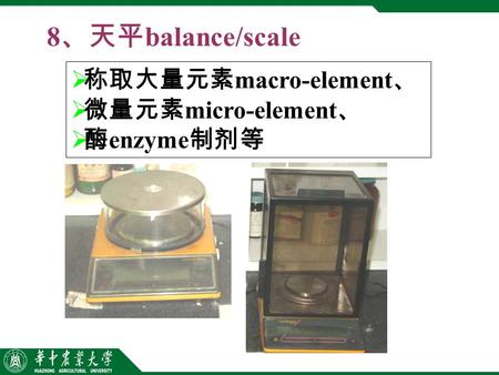 8 、天平 balance/scale  称取大量元素 macro-element 、  微量元素 micro-element 、  酶 enzyme 制剂等.