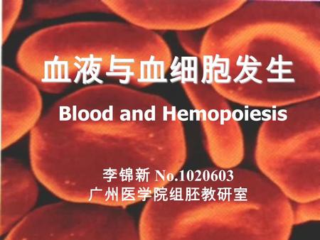 血液与血细胞发生 血液与血细胞发生 Blood and Hemopoiesis 李锦新 No.1020603 广州医学院组胚教研室.