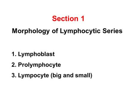 Section 1 Morphology of Lymphocytic Series 1. Lymphoblast 2. Prolymphocyte 3. Lympocyte (big and small)