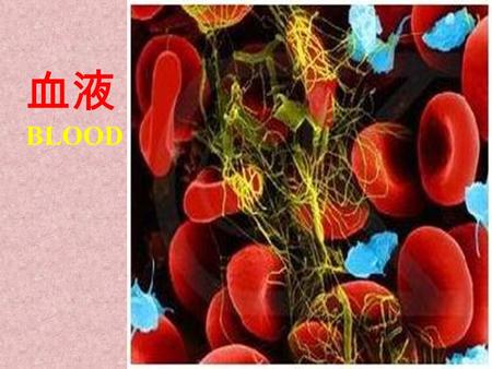 血液 BLOOD 血液 细胞内、外液 体液 细胞外液 细胞内液 占体重的 60% 细胞直接生活的 液体环境，具体环境 内环境 为细胞内各种生化 反应进行的场所 组 织 液 4/5 血 浆 1/5.