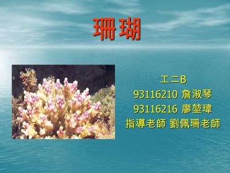 珊瑚 工二 B 93116210 詹淑琴 93116216 廖堃瑋 指導老師 劉佩珊老師. 基本介紹 1. 珊瑚的小常識： 屬於動物界刺絲胞動物門珊瑚蟲綱，牠是一種動 物，是由許多珊瑚蟲聚合生長的一種群體生物。 一般所指的珊瑚，乃是大批共同聚集在一起的珊 瑚蟲，於死後遺留下來的鈣質骨骼所形成的，所.