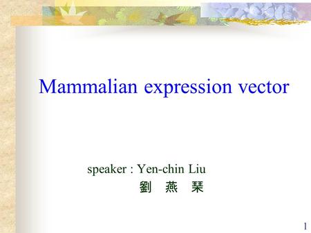1 Mammalian expression vector speaker : Yen-chin Liu 劉 燕 琹.