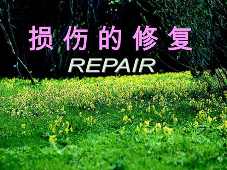 损 伤 的 修 复损 伤 的 修 复. 损 伤 的 修 复 修复 (repair) 是组织和 细胞损伤后，机体对缺损部 位在结构和功能上进行恢复 的过程。修复是通过细胞再 生来实现的。