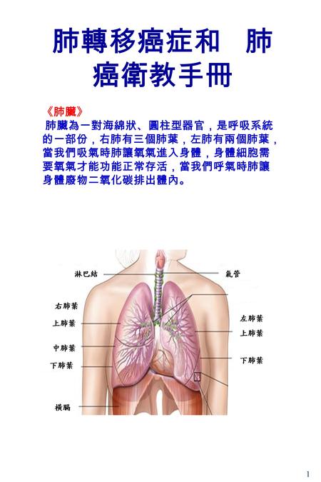 1 肺轉移癌症和 肺 癌衛教手冊 《肺臟》 肺臟為一對海綿狀、圓柱型器官，是呼吸系統 的一部份，右肺有三個肺葉，左肺有兩個肺葉， 當我們吸氣時肺讓氧氣進入身體，身體細胞需 要氧氣才能功能正常存活，當我們呼氣時肺讓 身體廢物二氧化碳排出體內。