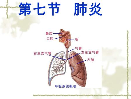 第七节 肺炎. 一、概述 （一）概念： 肺炎是指包括终末气道、肺泡 腔及肺间质等在内的肺实质炎症 。 （二）肺炎的病因学.