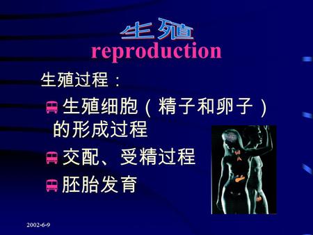 2002-6-9 版权所有：王跃春 reproduction 生殖过程：  生殖细胞（精子和卵子） 的形成过程  交配、受精过程  胚胎发育.