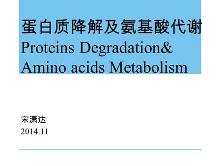 蛋白质降解及氨基酸代谢 Proteins Degradation& Amino acids Metabolism 宋潇达 2014.11.