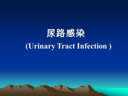 尿路感染 (Urinary Tract Infection ). 肾炎 肾功能不全 泌尿系感染 其他.