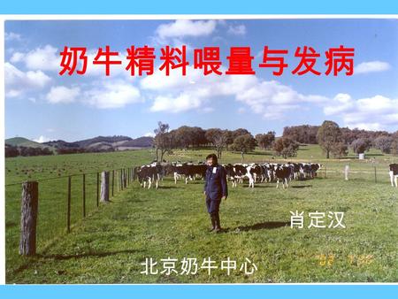 奶牛精料喂量与发病 肖定汉 北京奶牛中心 一、饲料在瘤胃的变化 pH                                          