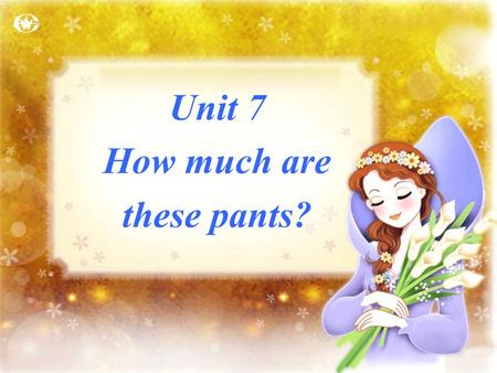 Unit 7 How much are these pants? Section A What can you see in a clothing shop?