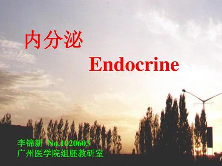 内分泌 Endocrine 李锦新 No.1020603 广州医学院组胚教研室.