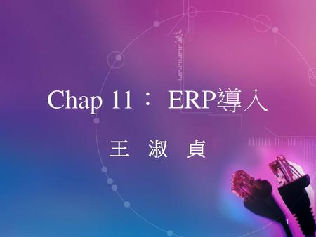 Chap 11： ERP導入 王　淑　貞.