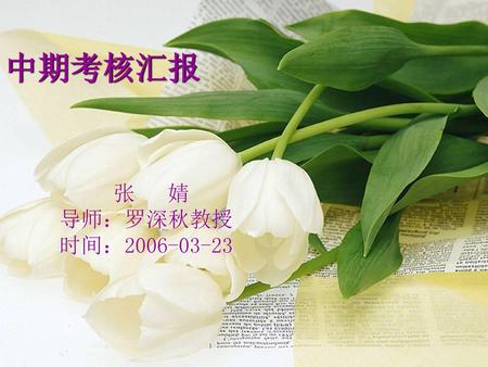 中期考核汇报 张 婧 导师：罗深秋教授 时间：2006-03-23.