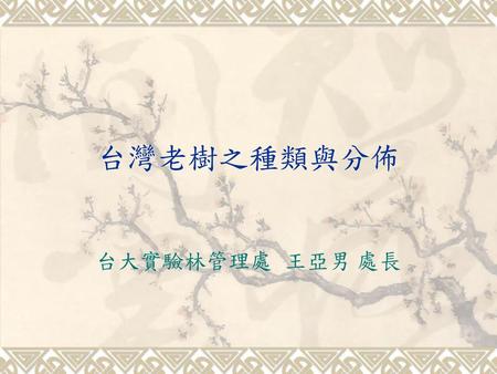台灣老樹之種類與分佈 台大實驗林管理處 王亞男 處長.
