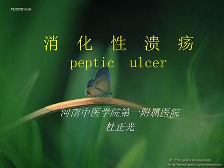 消 化 性 溃 疡 peptic ulcer 河南中医学院第一附属医院 杜正光.