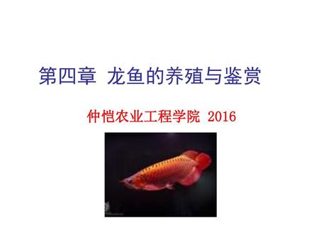第四章 龙鱼的养殖与鉴赏 仲恺农业工程学院 2016.