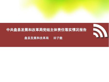 中共盘县发展和改革局党组主体责任落实情况报告