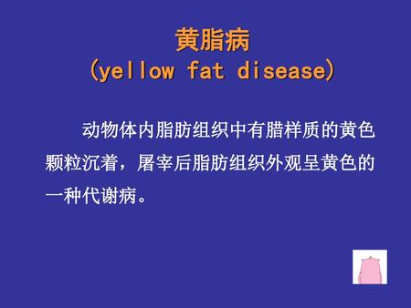 黄脂病 (yellow fat disease)